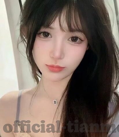 511伦理-511伦理，在数字时代重塑道德边界的探索