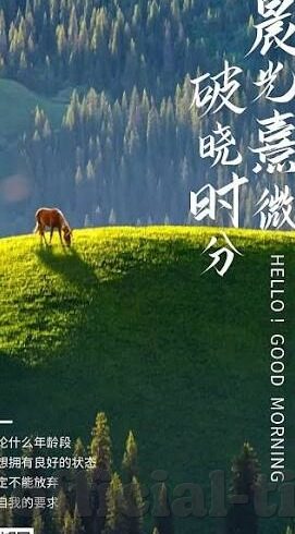 91麻豆精品国产91久久九色-国产精品呈现，解锁多样化的视觉盛宴