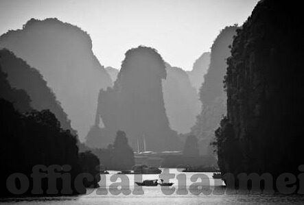大象传媒dxdztop-大象传媒，Dxdztop的数字时代创新与文化传播