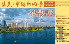 大象传媒轻量版-探索大象传媒轻量版，轻巧身姿，大能量传播