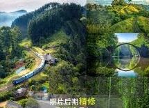 大象视频app怎么进不去-无法进入大象视频APP，用户面临的困境与解决方案