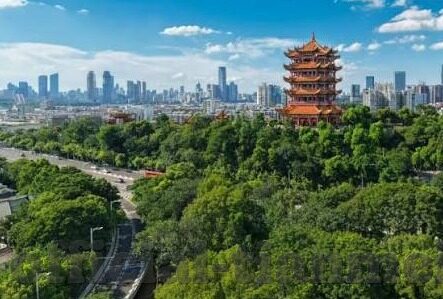 果冻传媒 下载-探索果冻传媒下载的多元化体验与安全考量