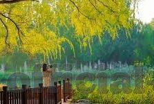 快猫视频rec05麻豆-以科技之名，透视信息世界的潮流——快猫视频rec05与麻豆的融合解码