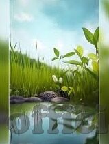 伦理在线-伦理在线，重塑网络空间的道德指南针
