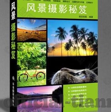 麻豆app在哪-揭密网络潮流，麻豆APP的神秘踪迹