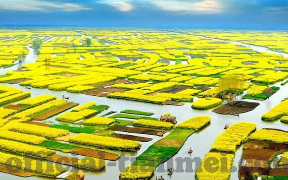 糖心app下载汅i免费-智能时代下的隐藏诱惑，探索糖心APP的真实面貌