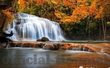 在线免费播放成人视频-在线免费观看成人视频，网络时代的隐私与安全考量